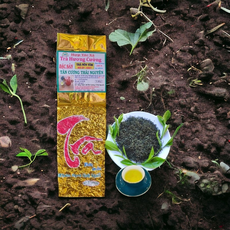 tra non tom db01 500gr 4