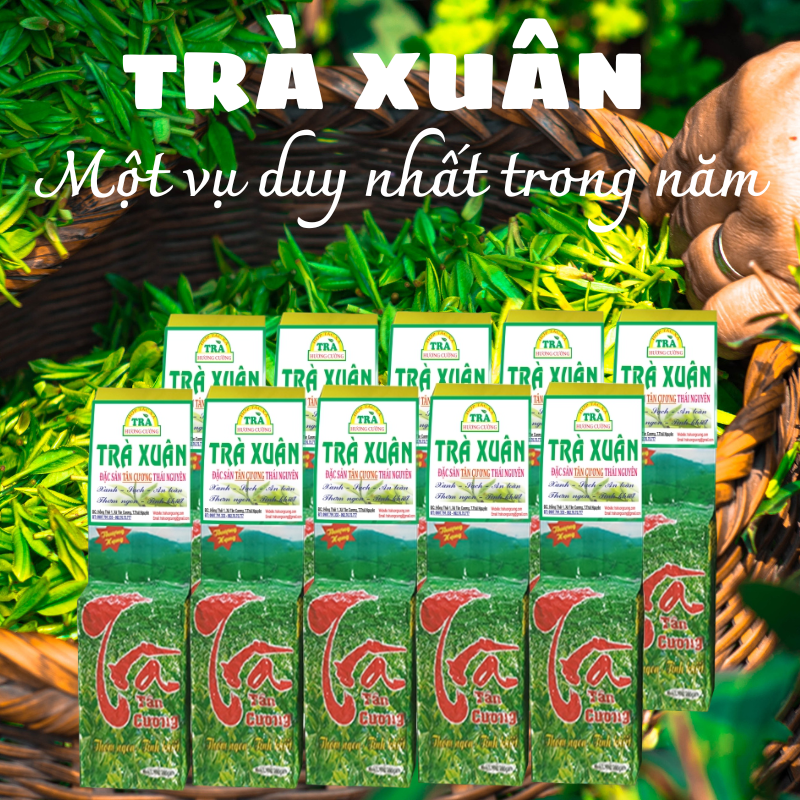 tra xuan 100gr