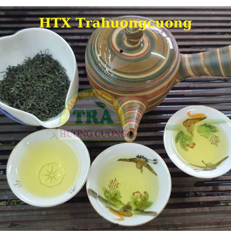 tra xuan 500gr 1
