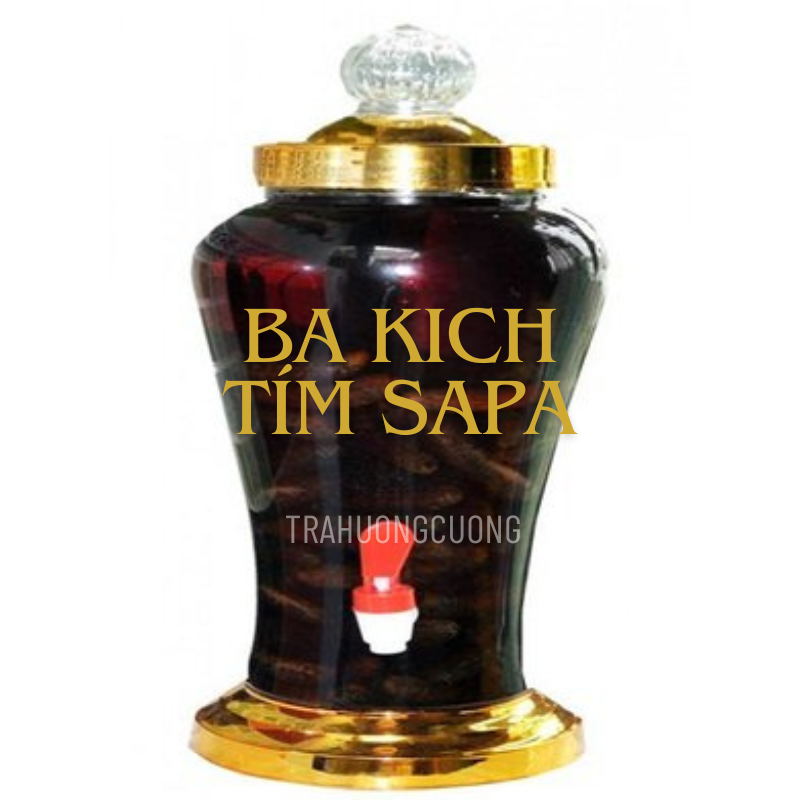 ba kich tim kho sapa 5