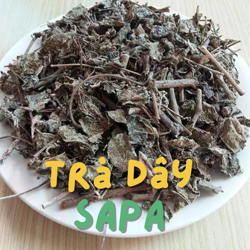tradaysapa2